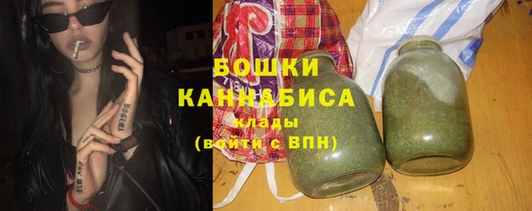 прущие грибы Тында